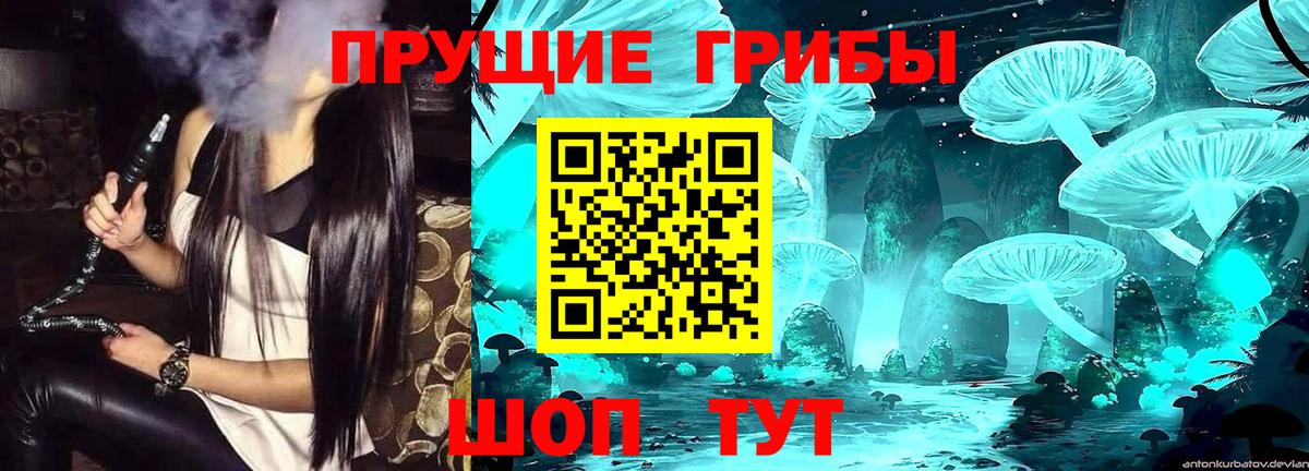Псилоцибиновые грибы Psilocybine cubensis  Галлюциногенные грибы GOLDEN TEACHER  Вход с VPN  Нурлат 